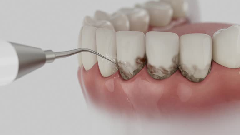 Reliable Dental contractor in Fayetteville, PA by Dentist Open Now